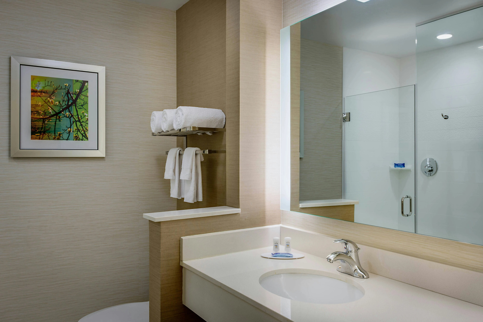 Photo - Fairfield Inn & Suites Dallas West/i-30