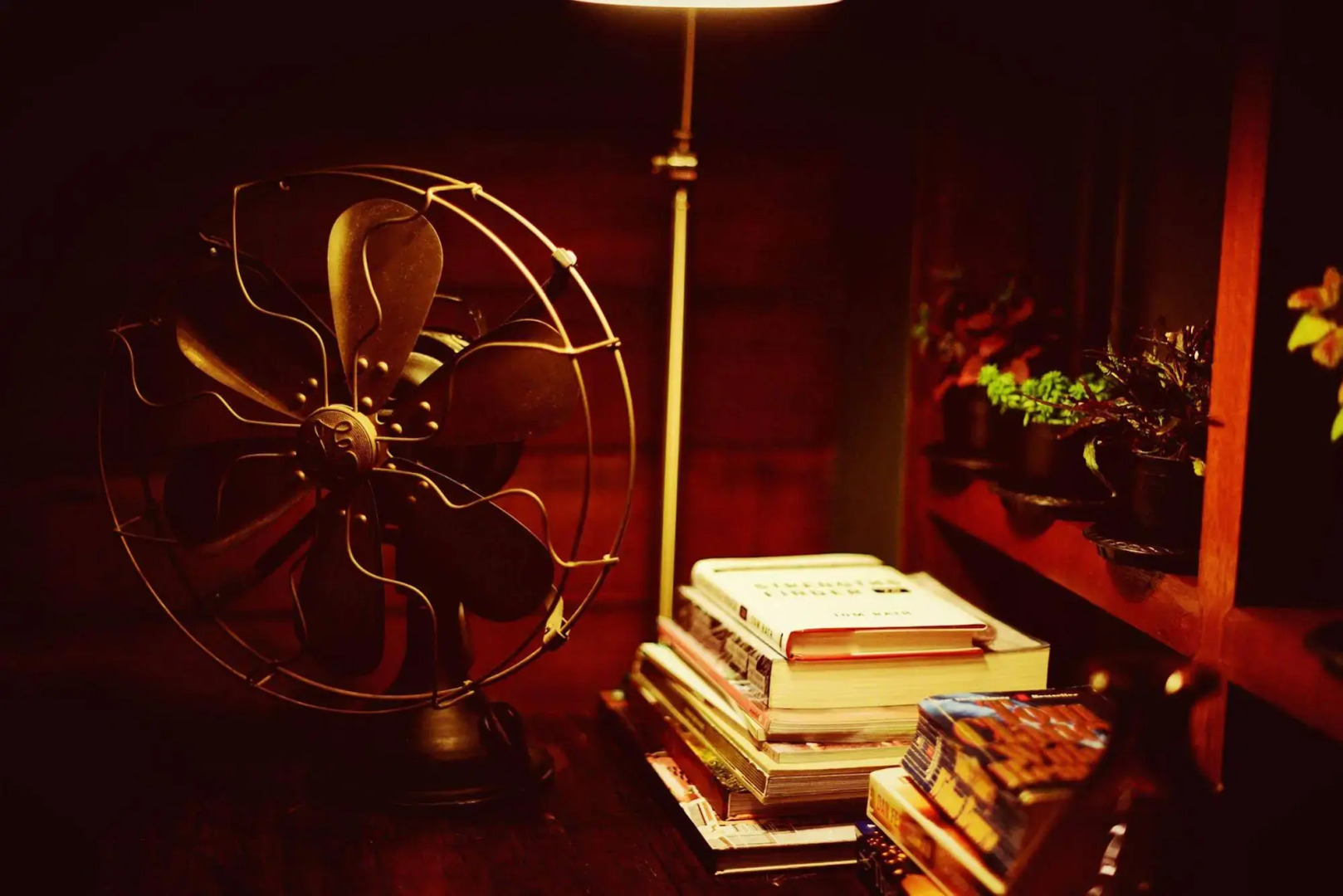 Photo - Yoo Yen Pen Sook