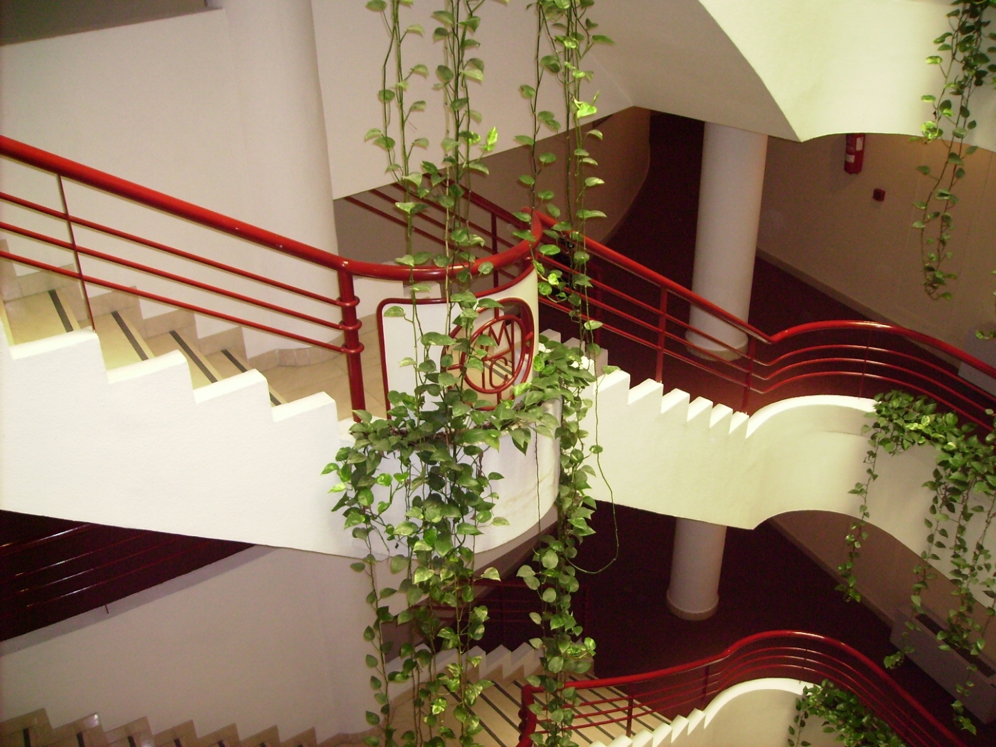 Photo - Senator Huelva