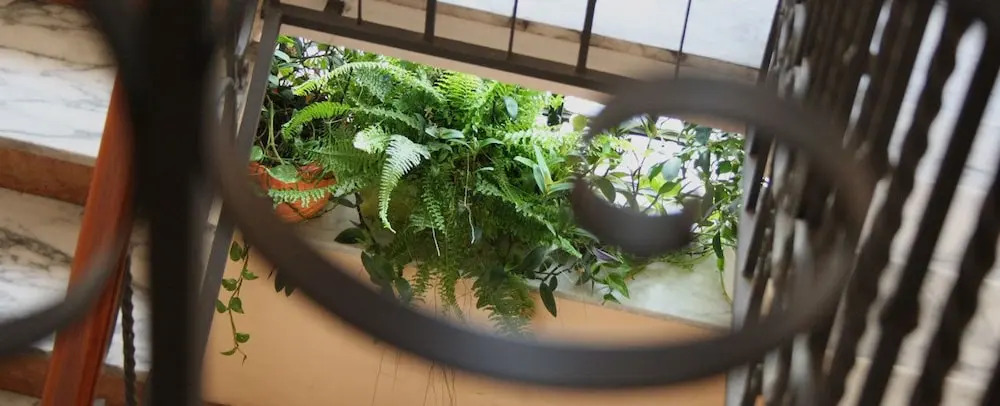 Foto - B&B A Casa Romar