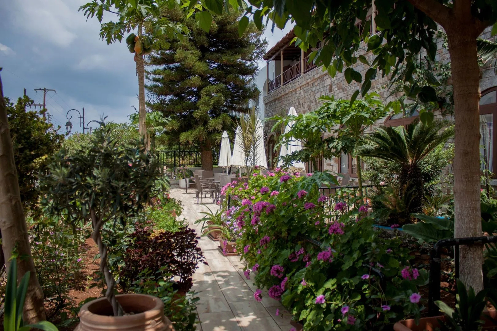 Photo - Malia Holidays Hotel
