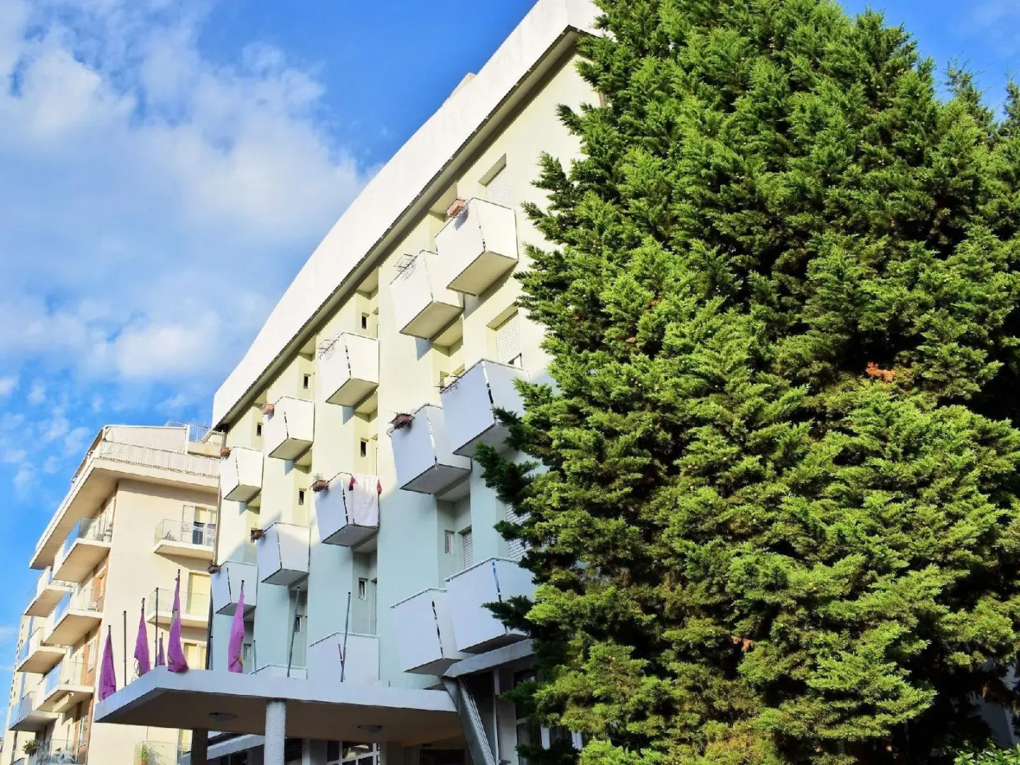 Foto - Hotel Bamby