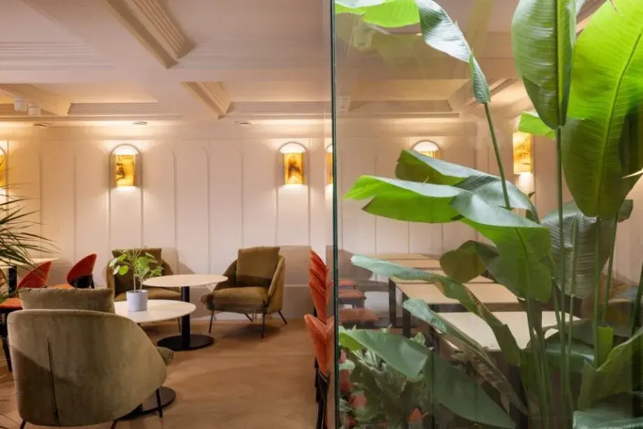 Foto - Crisol Mozart