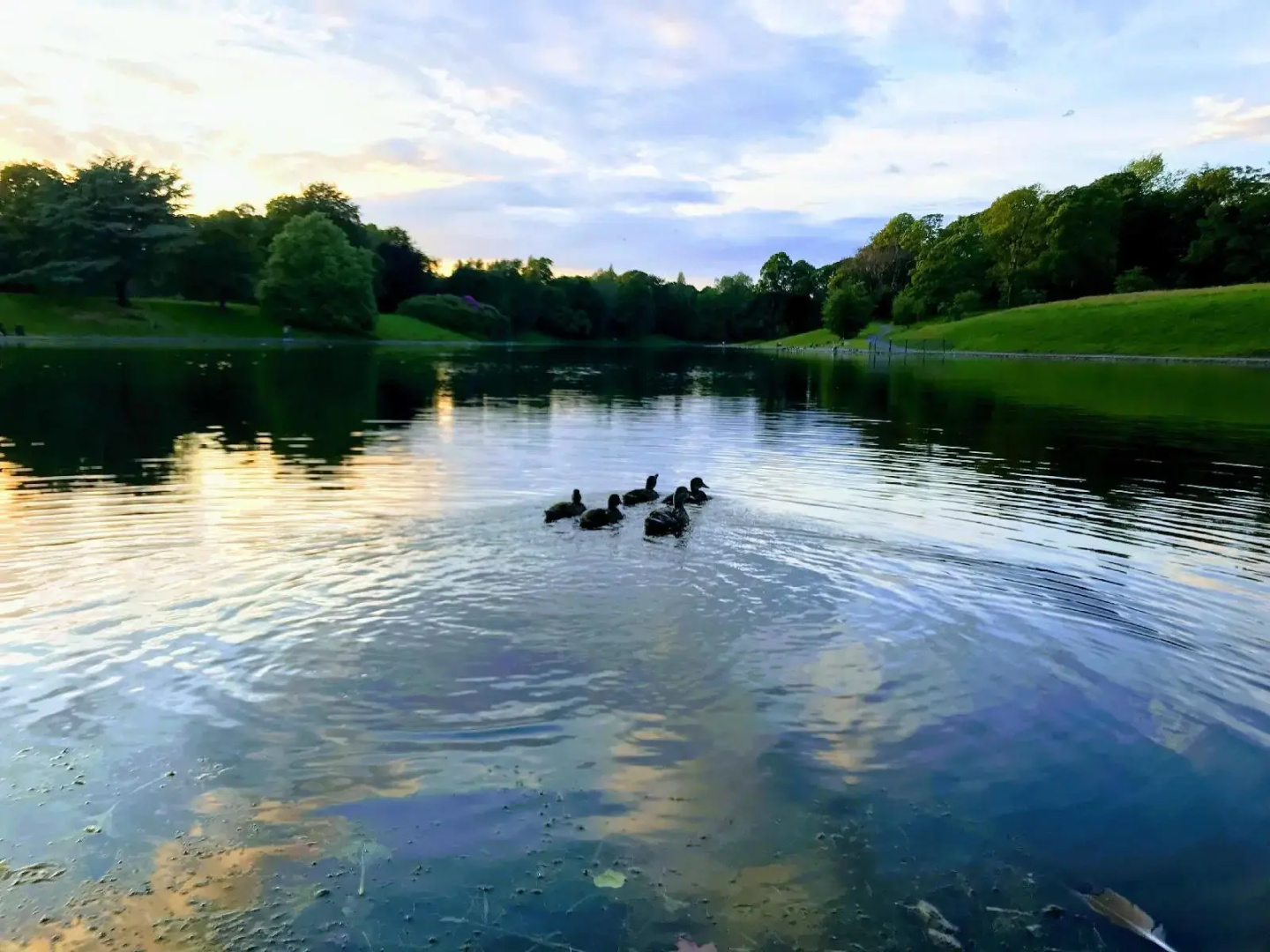 Foto - Sefton Park Hotel