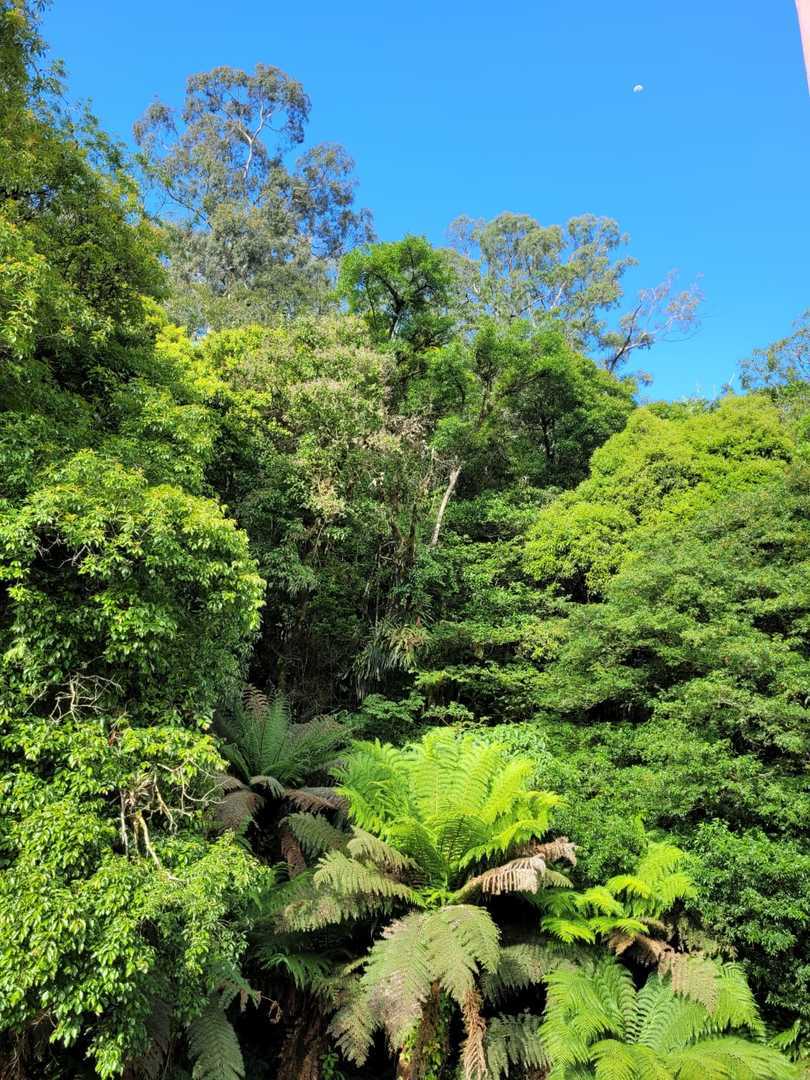 Foto - Pousada Beija Flor Centro