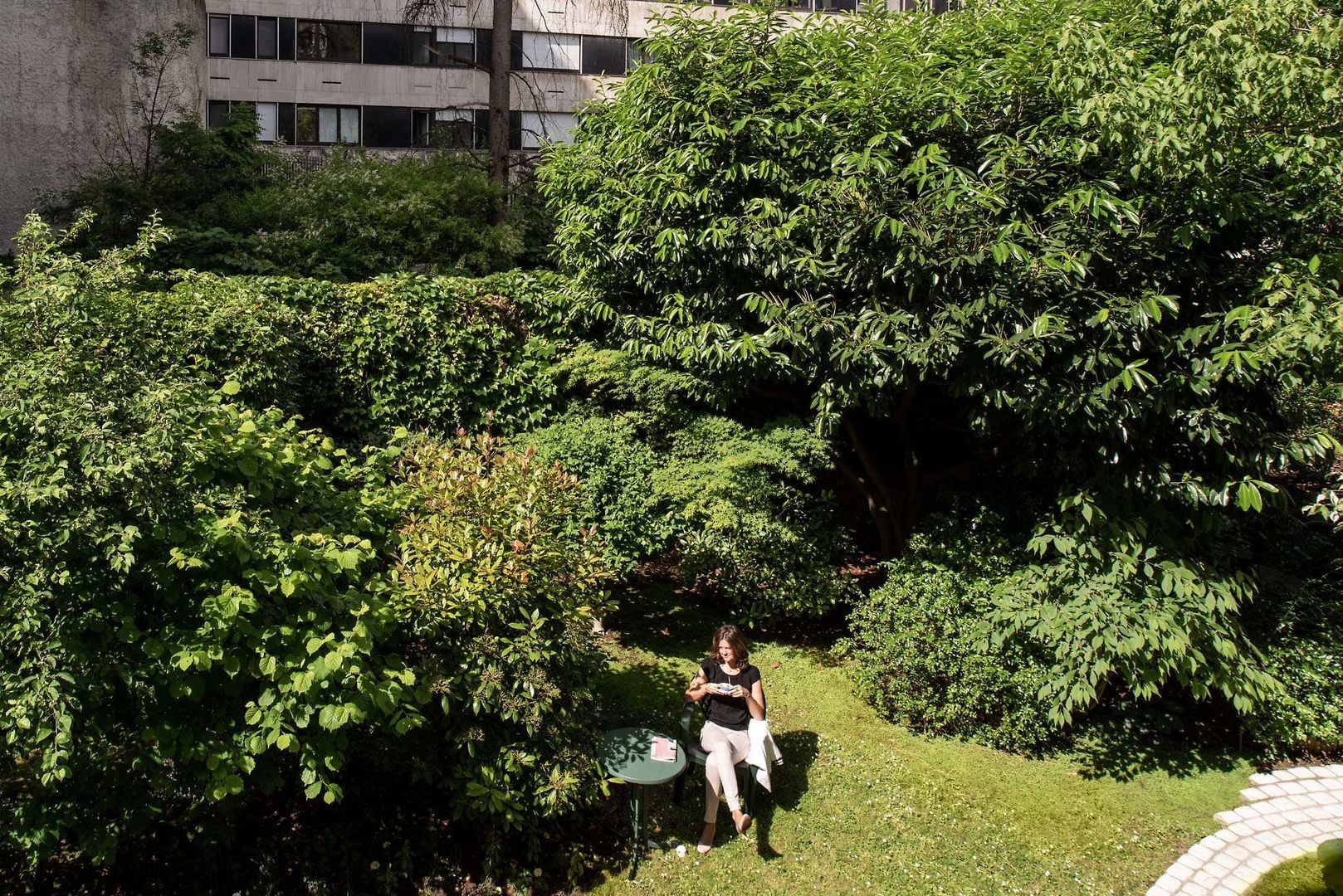 Foto - Abaca Messidor by Happyculture