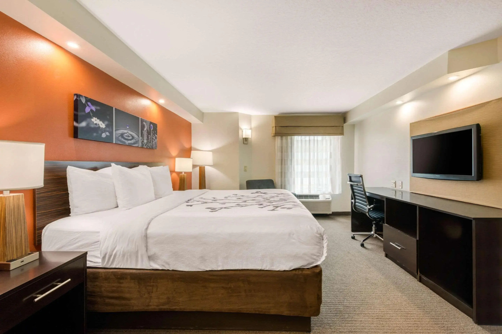 Foto - Sleep Inn Clearwater-St Petersburg