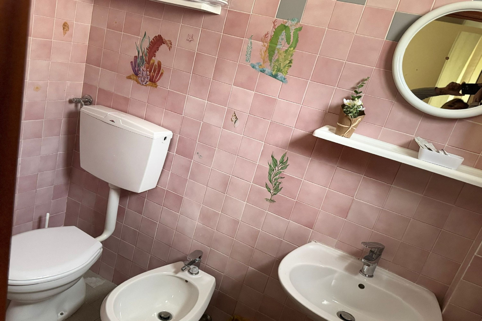 Foto - Hotel Bologna