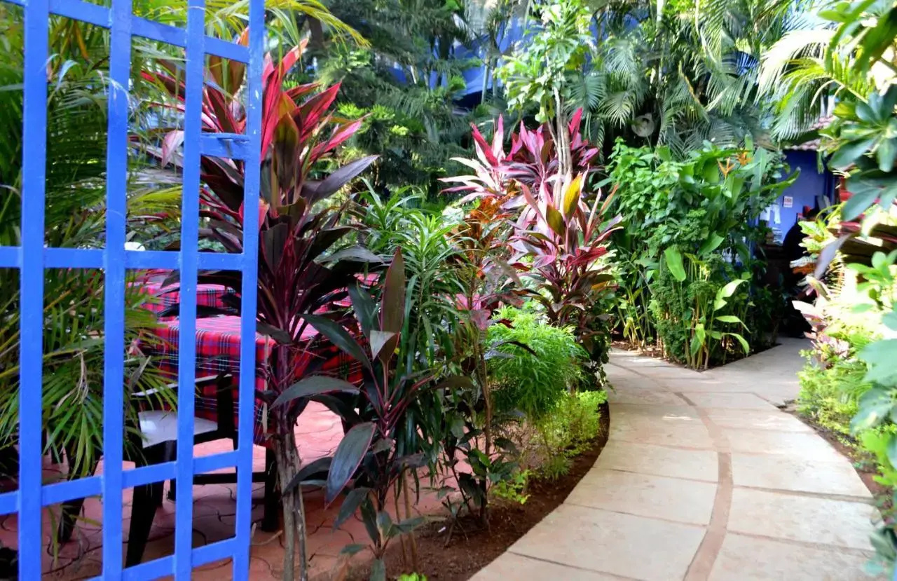 Foto - Villa Theresa Beach Resort