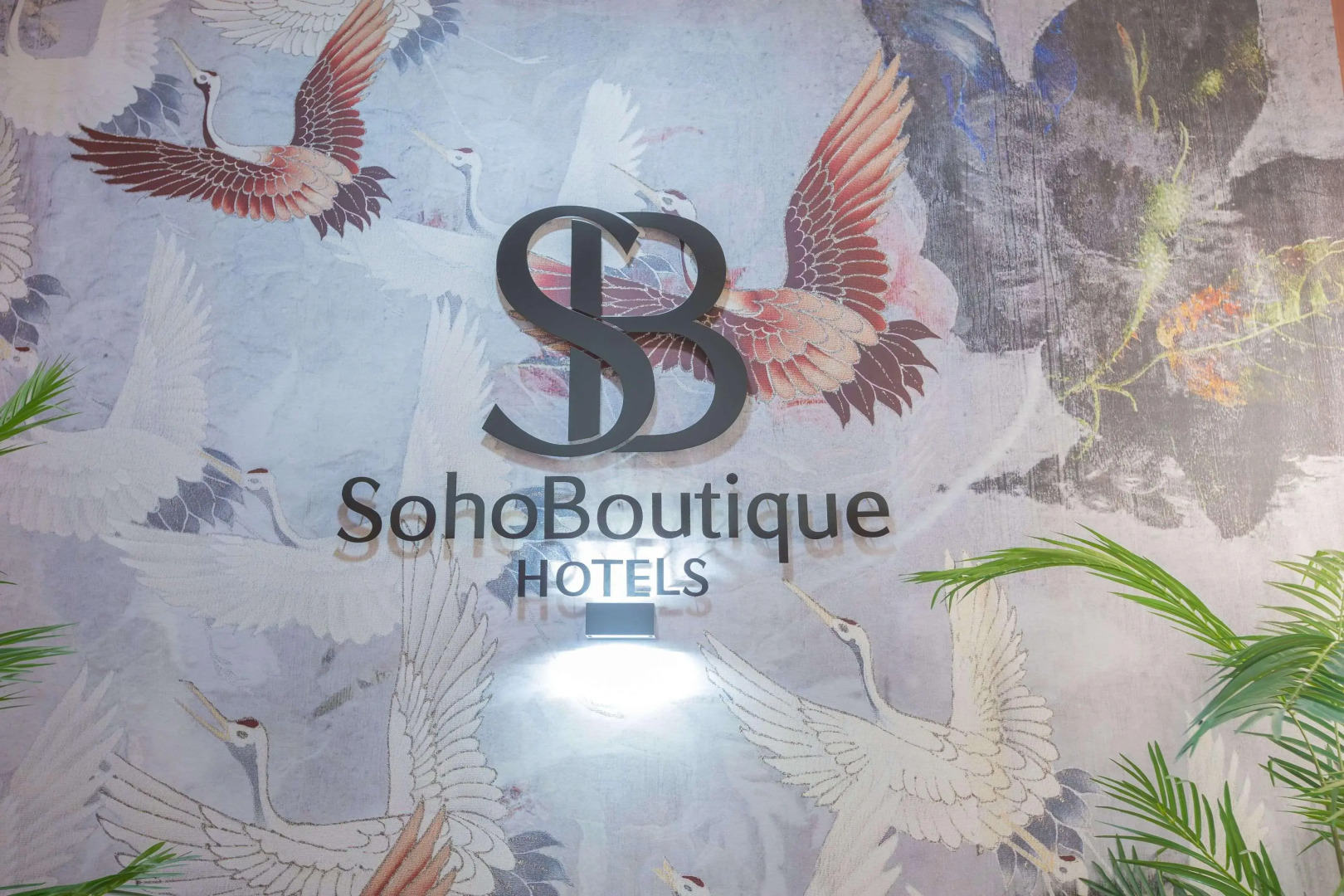 Foto - Soho Boutique Cádiz