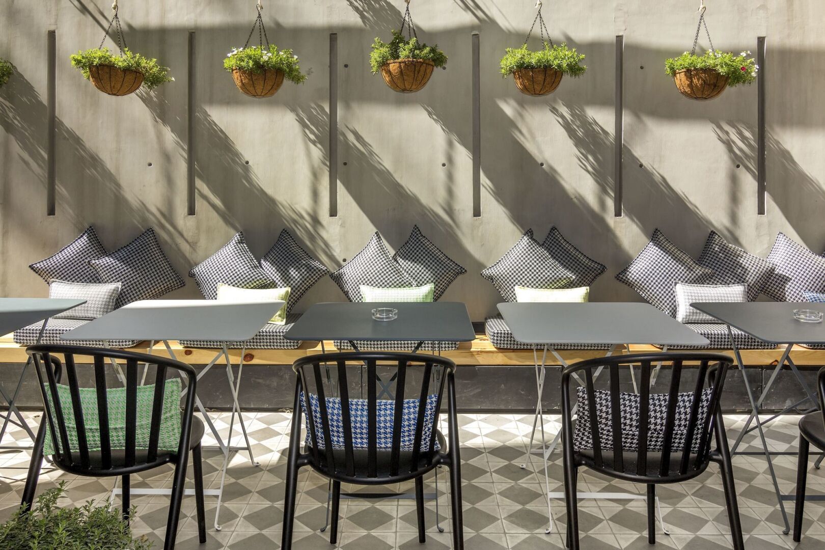 Photo - The Wild Oscar