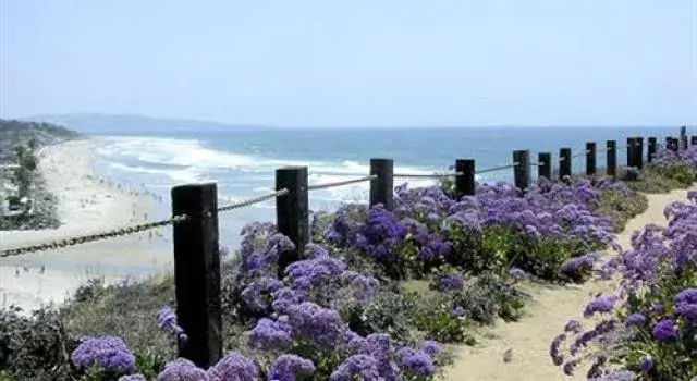 Foto - Pacific Shores Inn on Pacific Beach