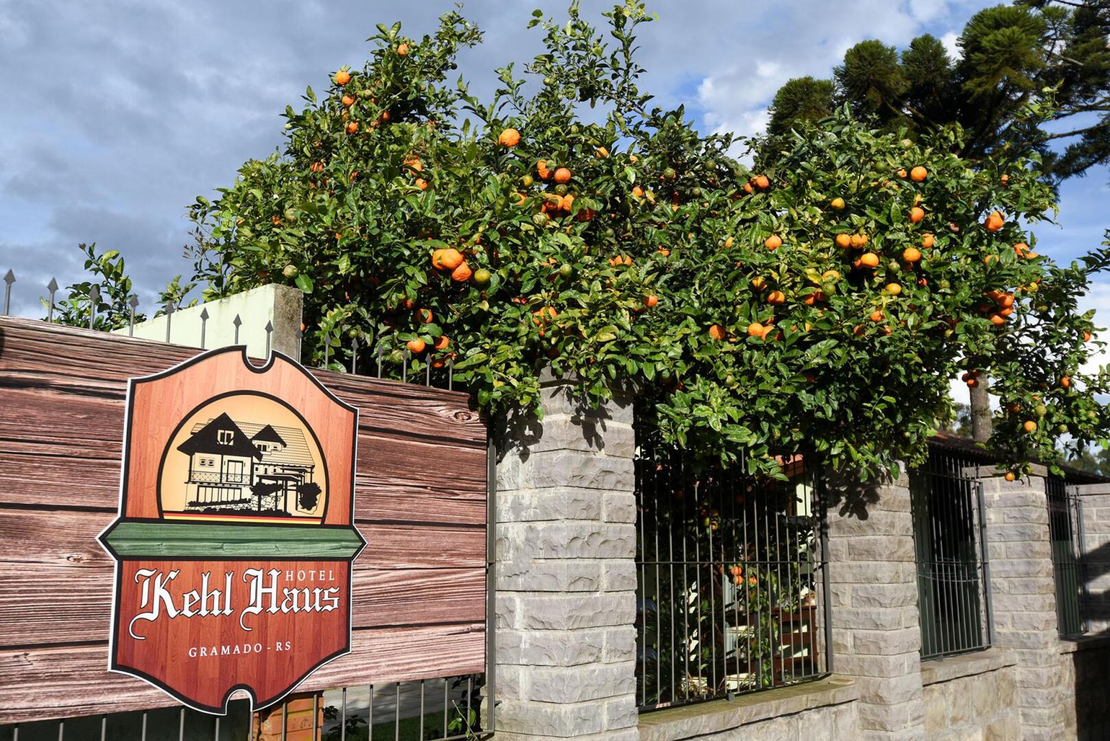 Foto - Hotel Kehl Haus