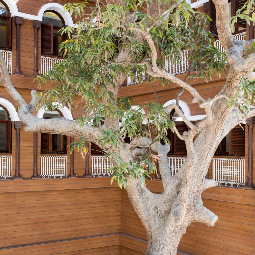 Photo - Park Hyatt Zanzibar