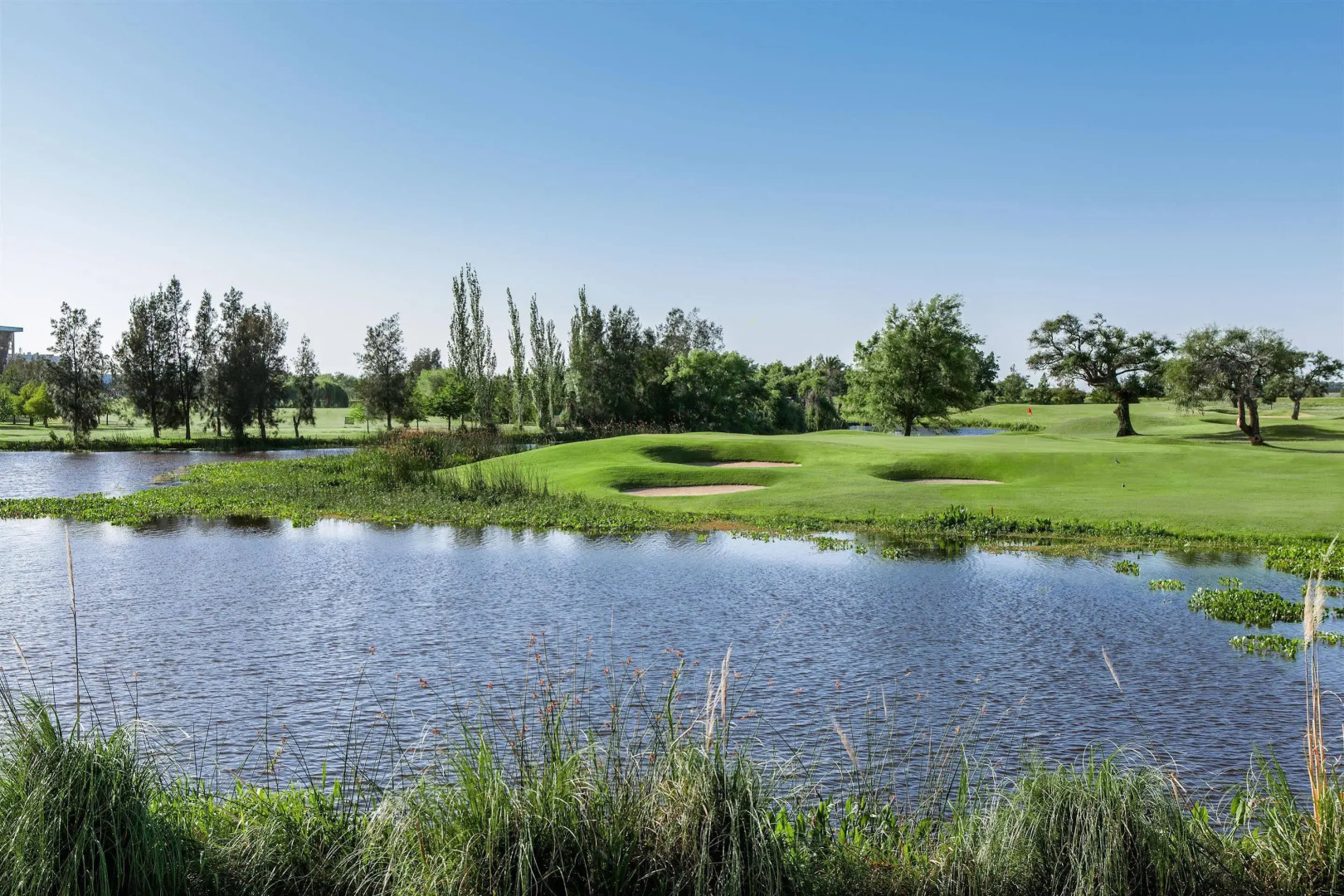 Photo - Sheraton Colonia Golf & Spa Resort