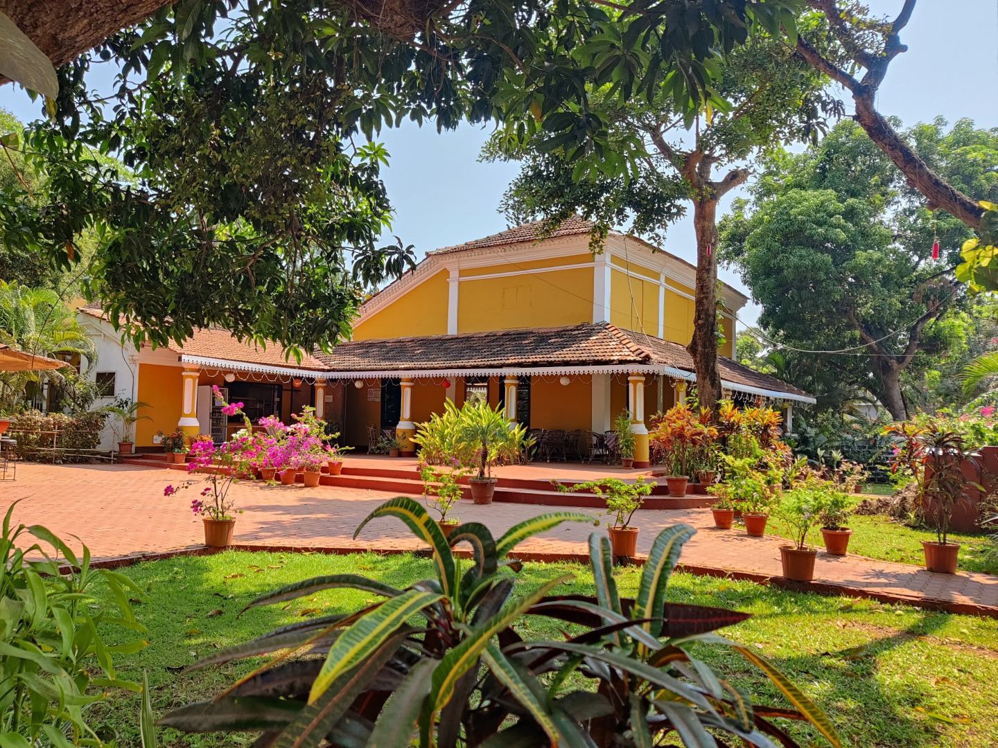 Foto - Granpa's Inn Hotel Bougainvillea