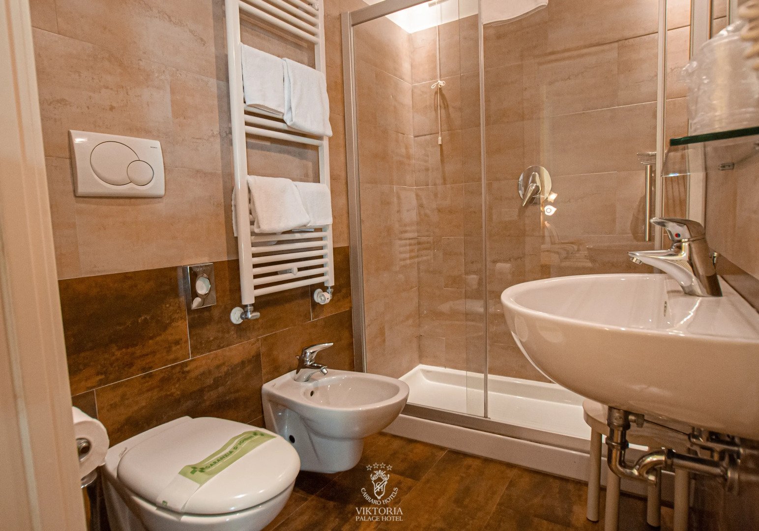 Foto - Viktoria Palace Hotel