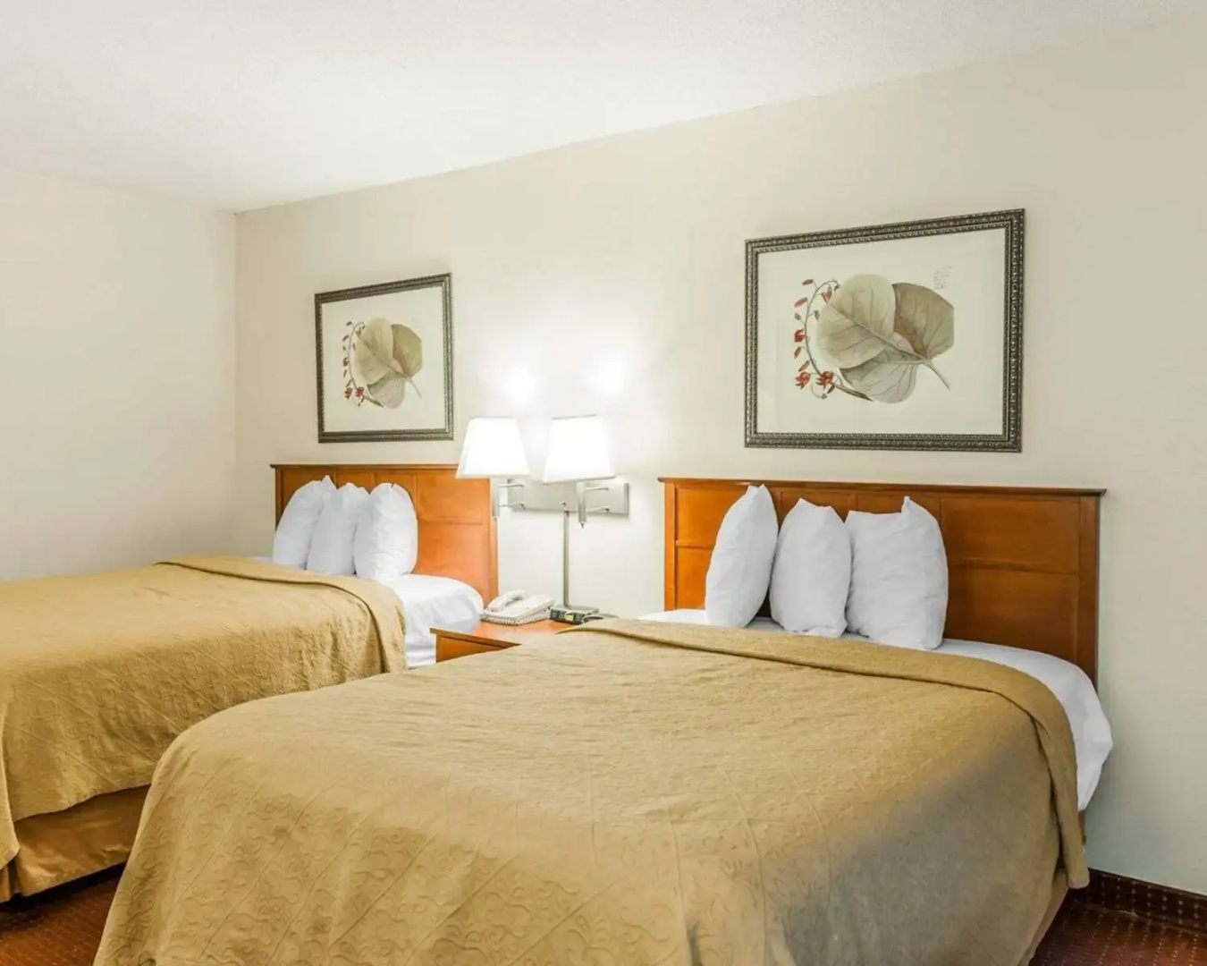 Photo - Baymont by Wyndham Indianapolis East
