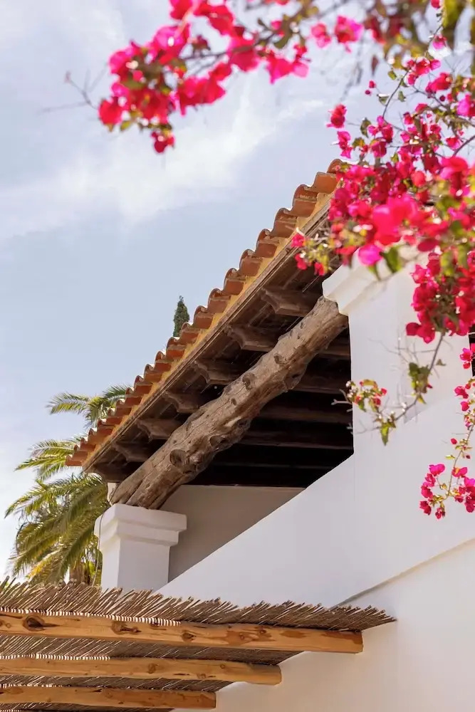 Foto - Boutique Hotel Jardines de Palerm