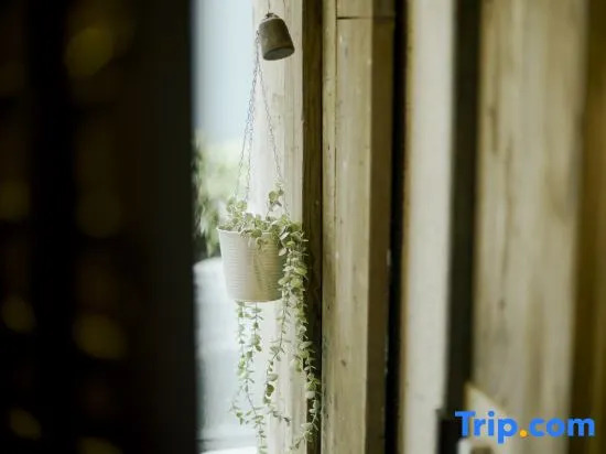 Photo - Akasaka Guesthouse HIVE