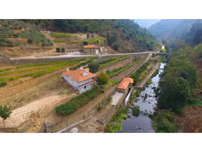 Foto - Quinta de Recião