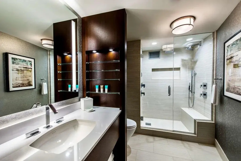 Foto - Hyatt Regency McCormick Place Chicago