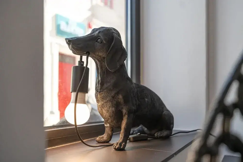 Foto - The Bear and Ween