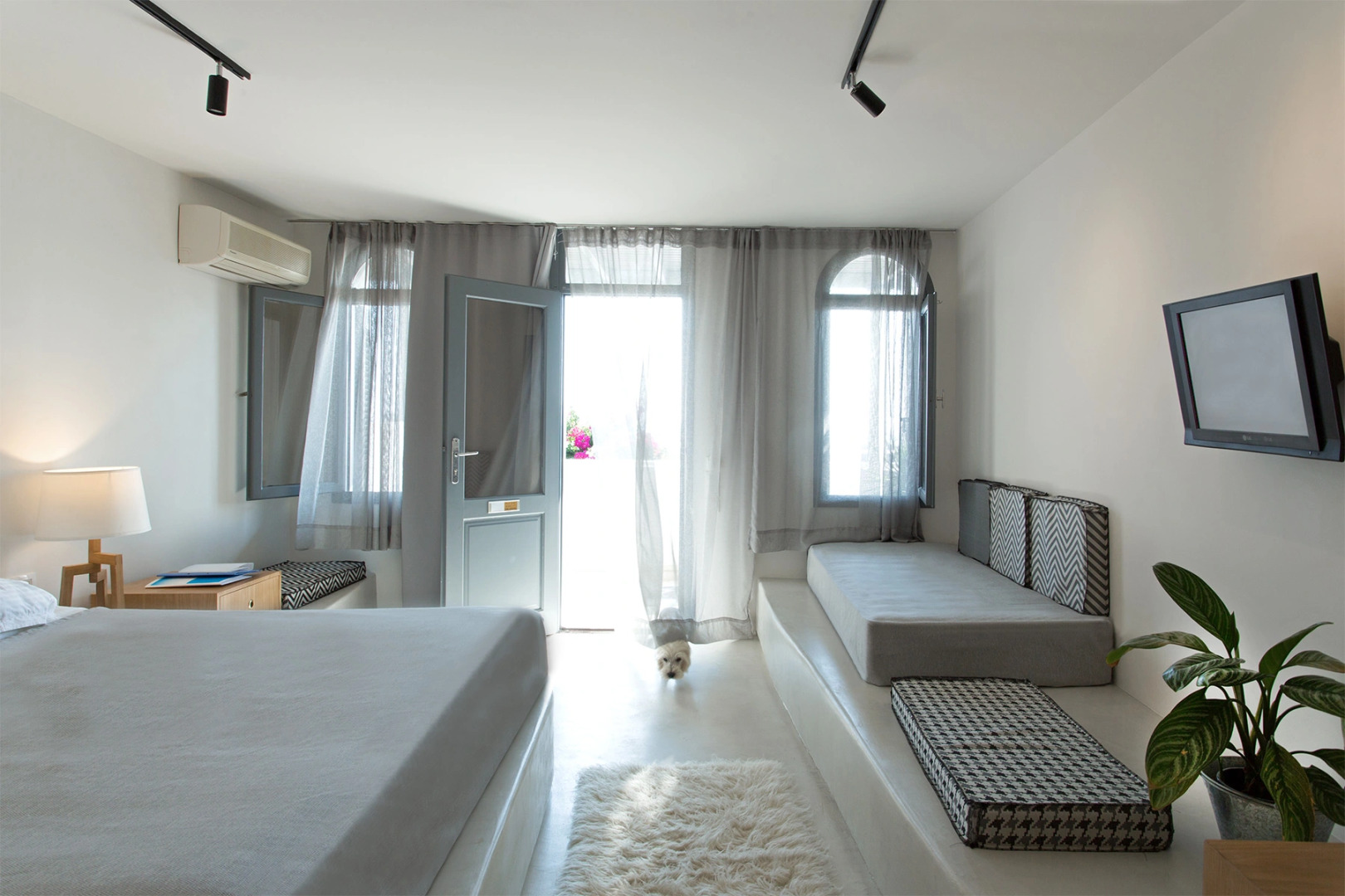 Photo - Xenones Filotera