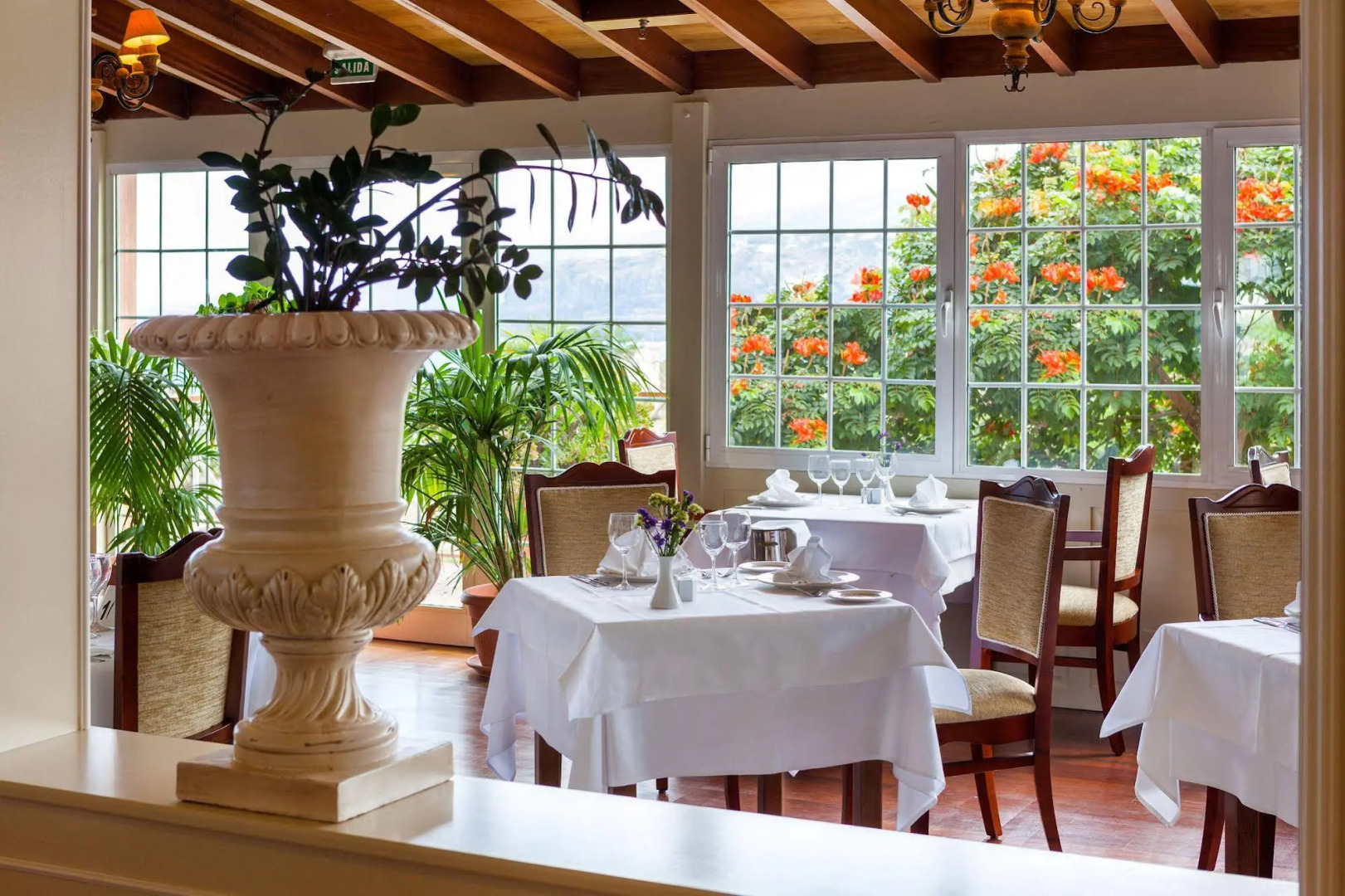 Photo - Hotel RIU Garoé