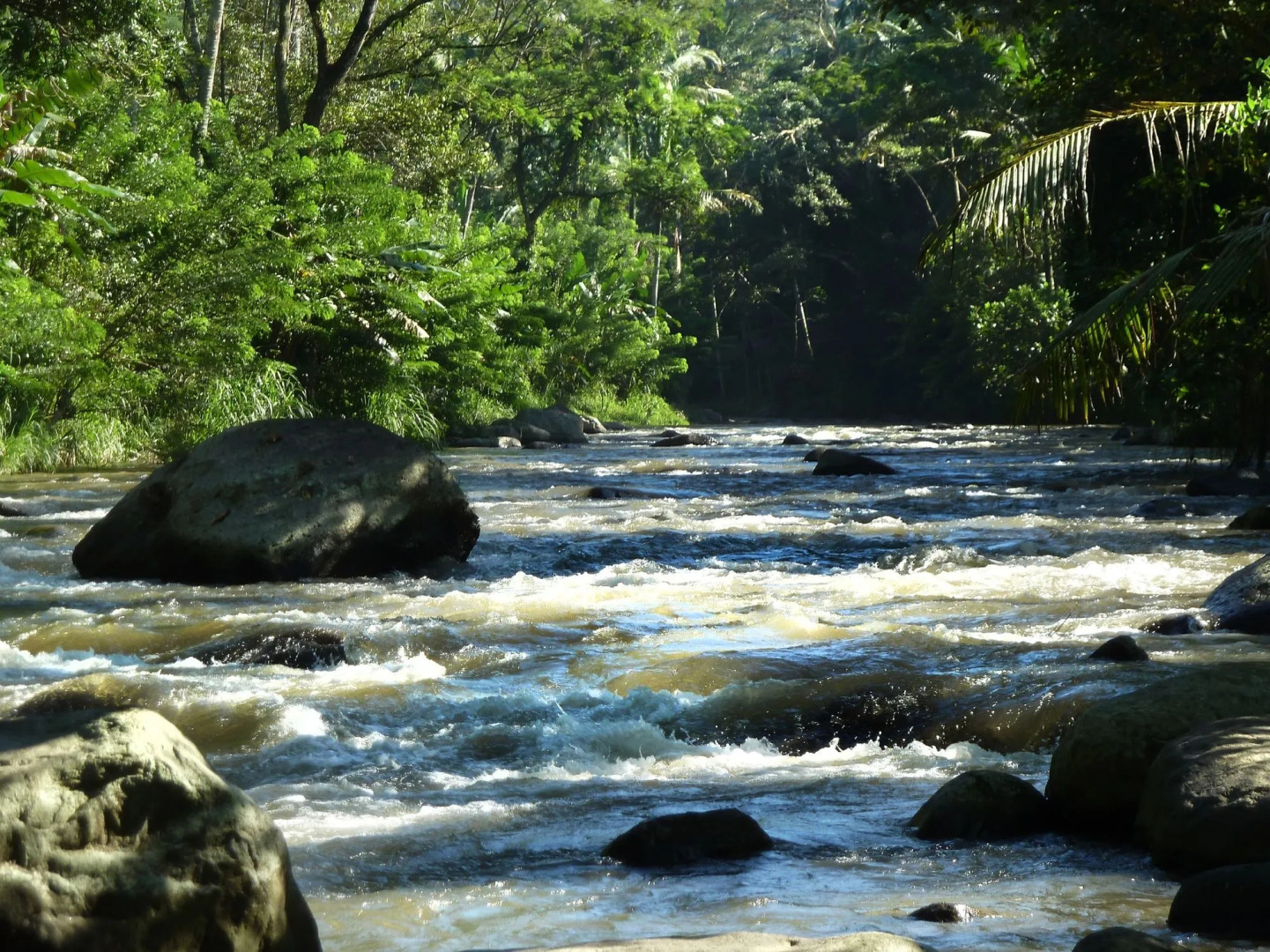 Foto - Umah Tampih Luxury Private Villa - CHSE Certified