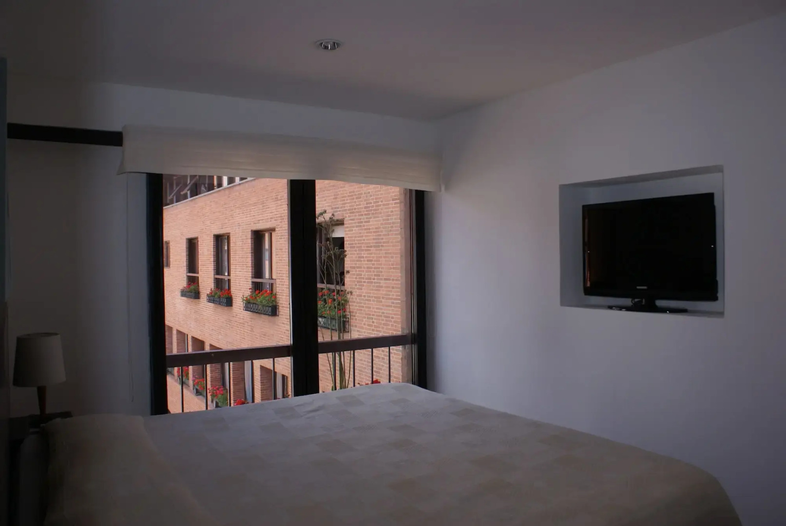 Foto - Cora 127 Plenitud