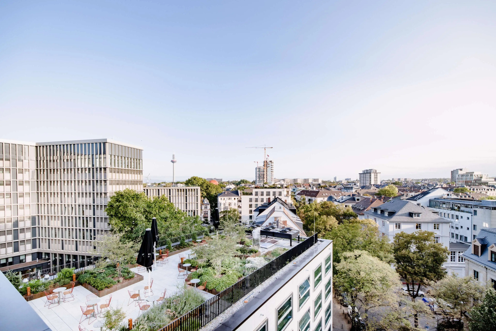 Foto - THE FLAG West M.