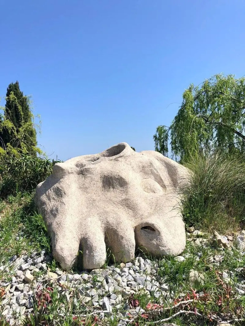 Photo - Les 4 éléments