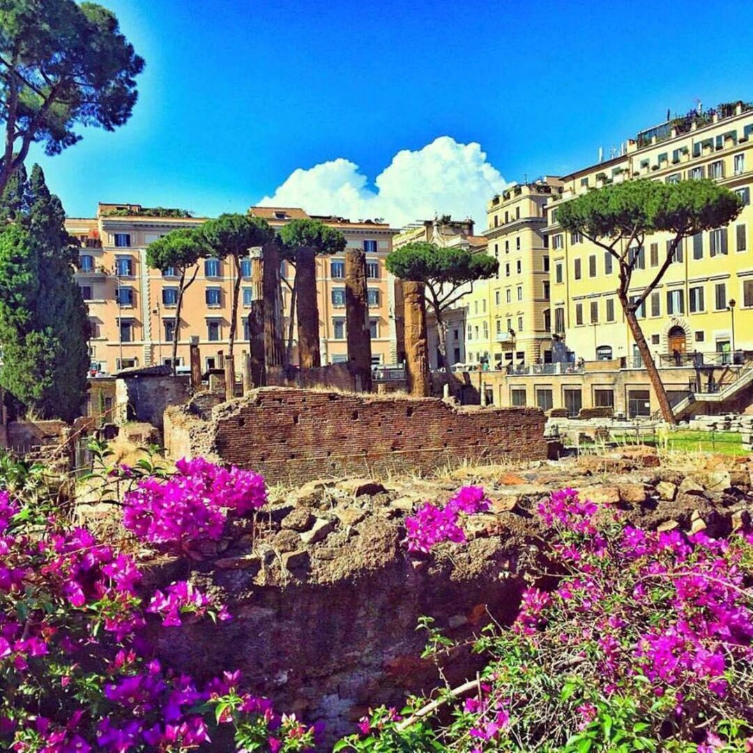 Foto - Sun Suite Luxury Pantheon