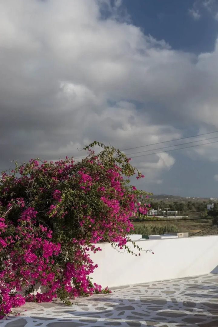 Photo - Mare Naxia Hotel