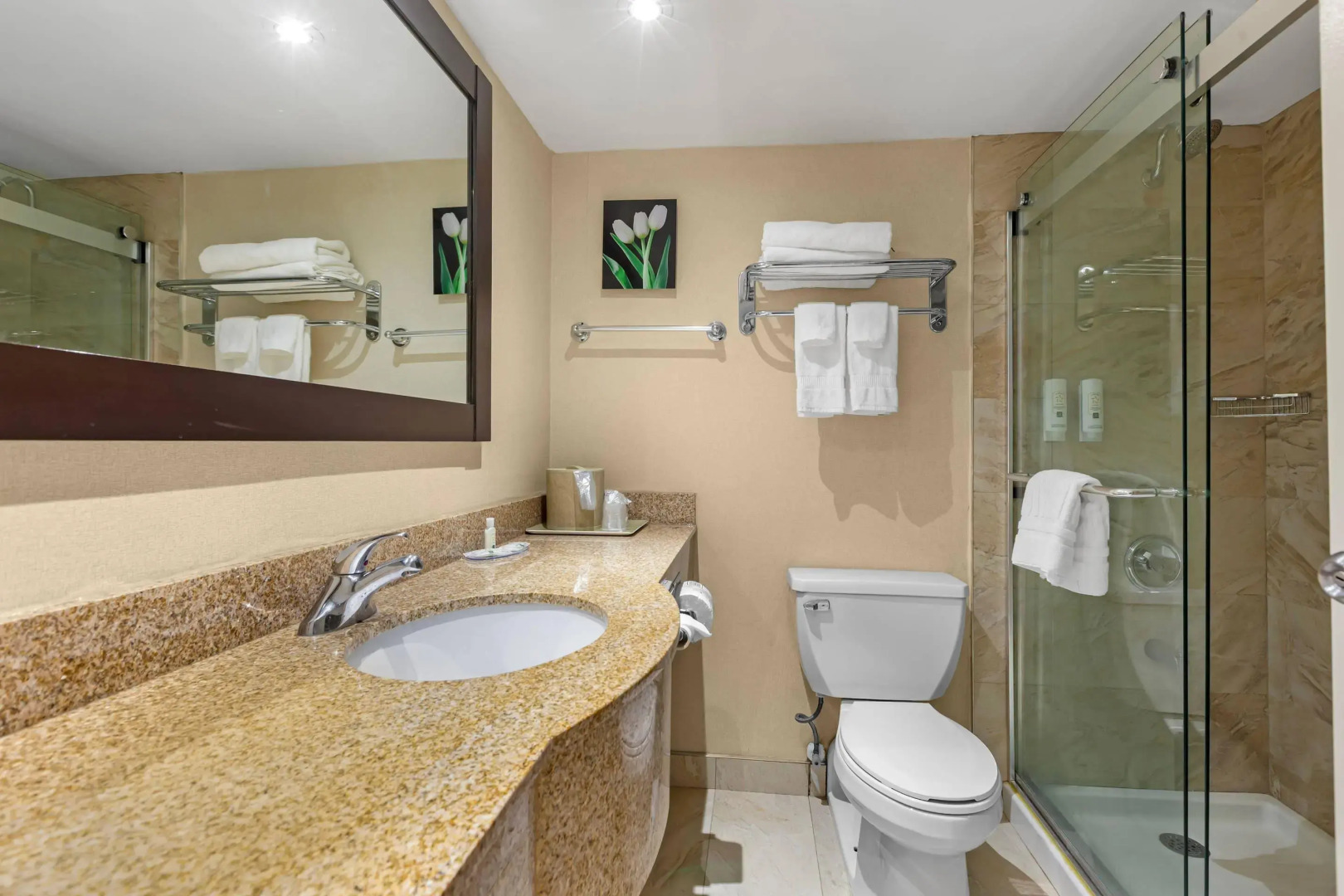 Foto - Quality Inn & Suites