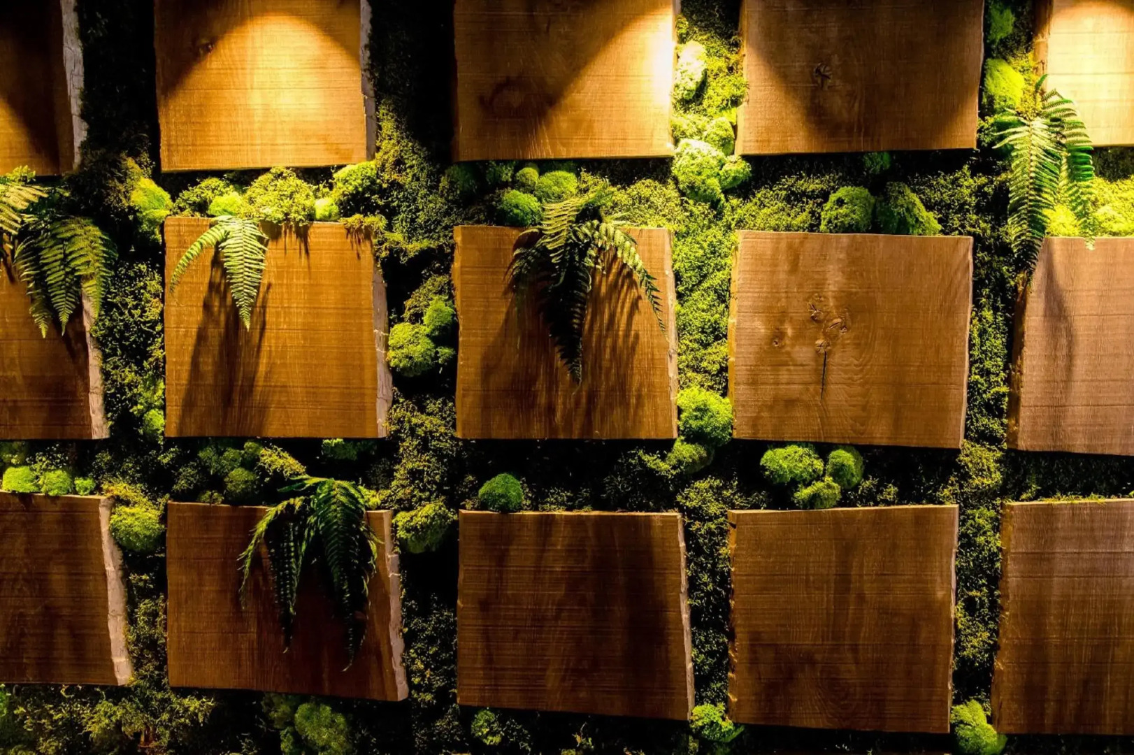 Foto - Motel One Edinburgh-Royal