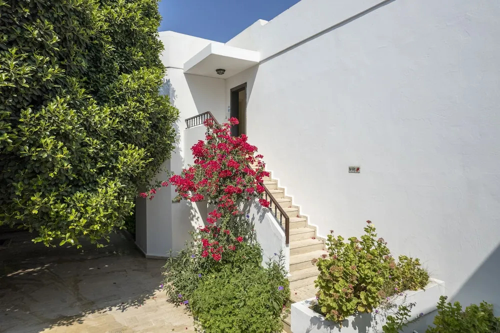 Photo - Seckin Konaklar