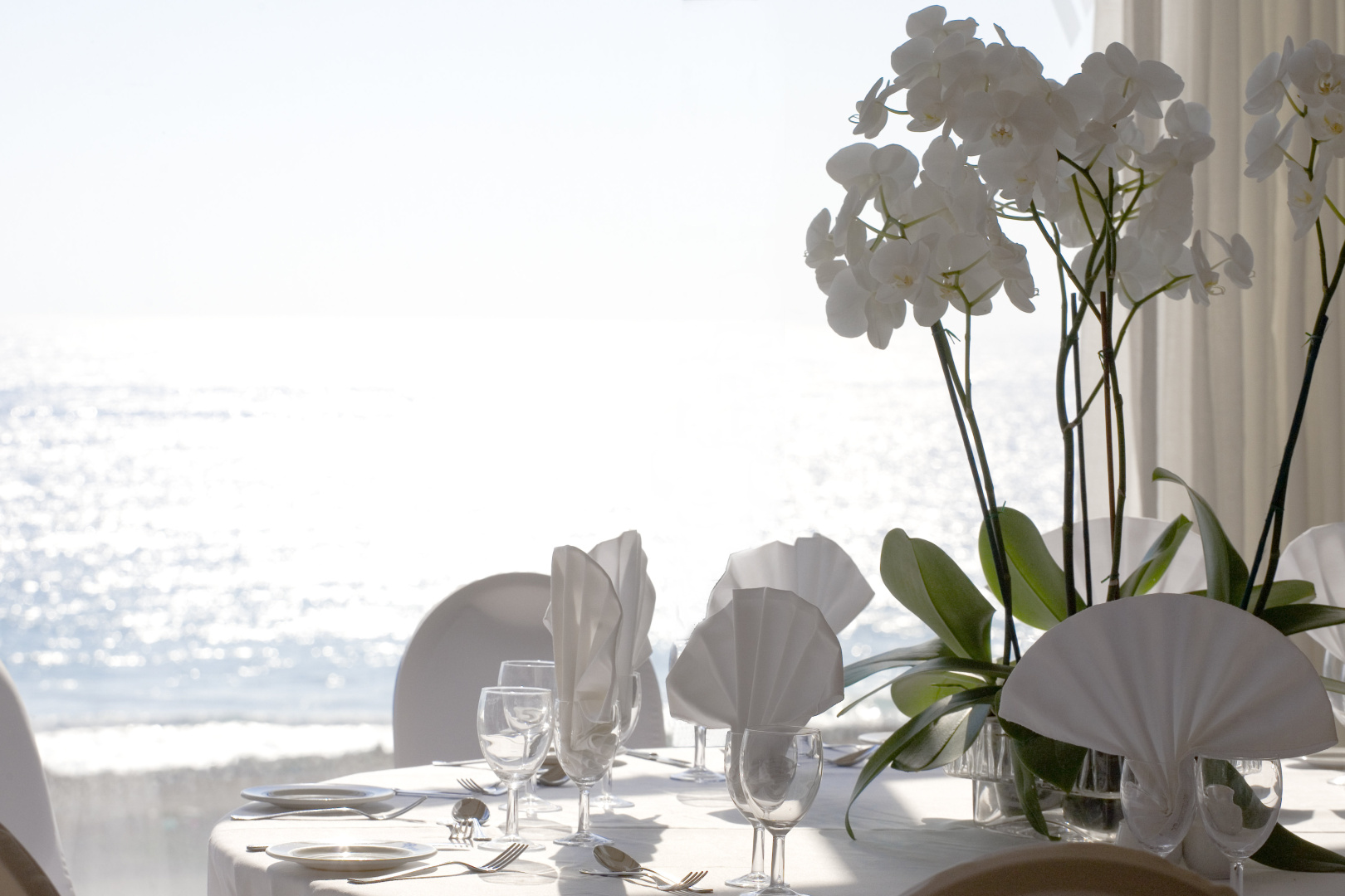 Photo - Venus Beach Hotel