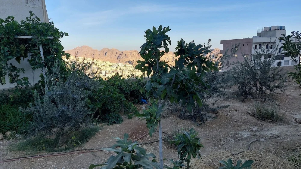 Foto - Petra Guests Hotel