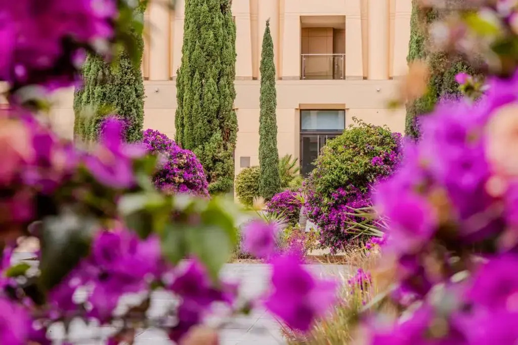 Photo - The Navigator - Colombus All Inclusive