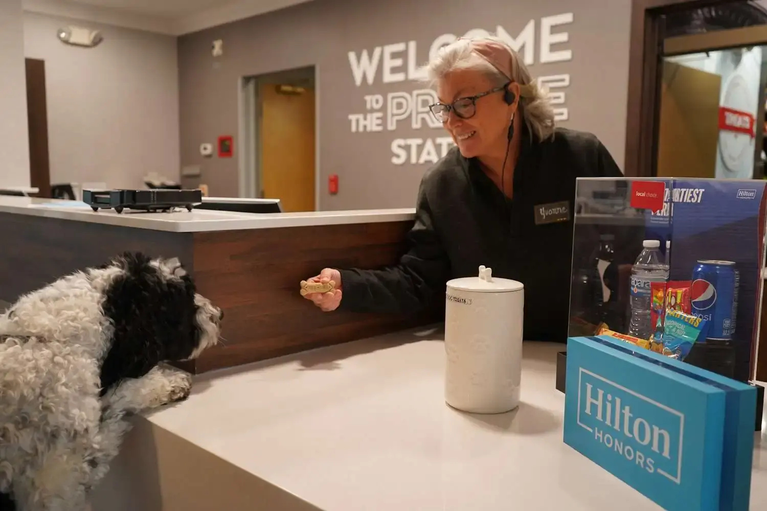 Photo - Hampton Inn & Suites Chicago/Aurora