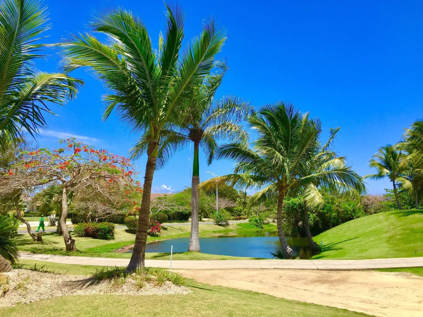 Foto - Los Corales Beach Village Punta Cana - The original