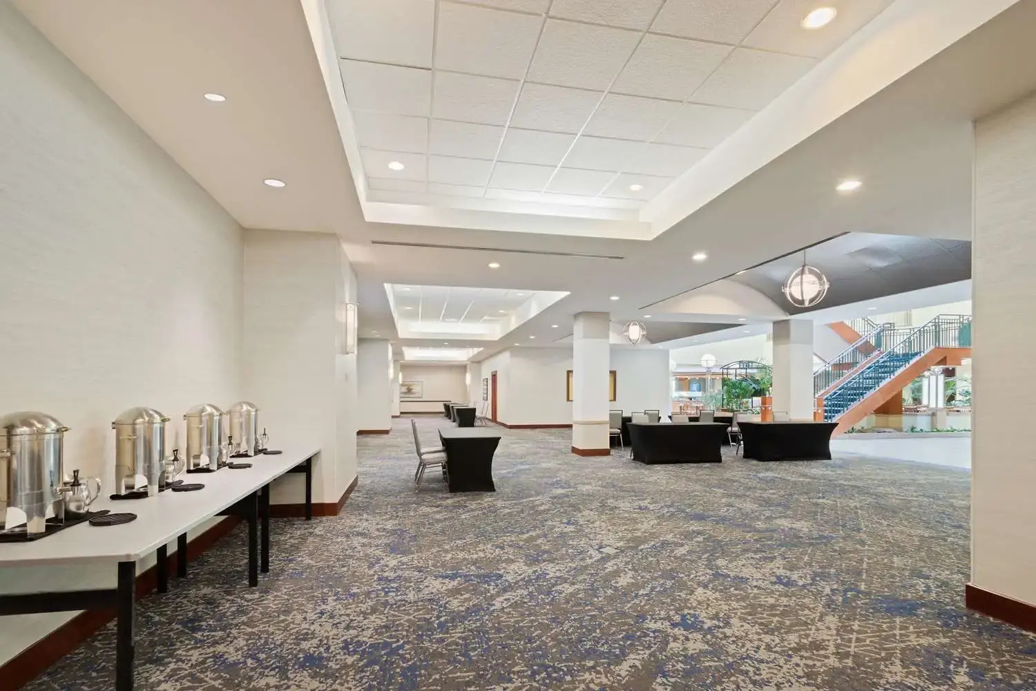 Foto - Embassy Suites by Hilton Tampa USF Near Busch Gardens
