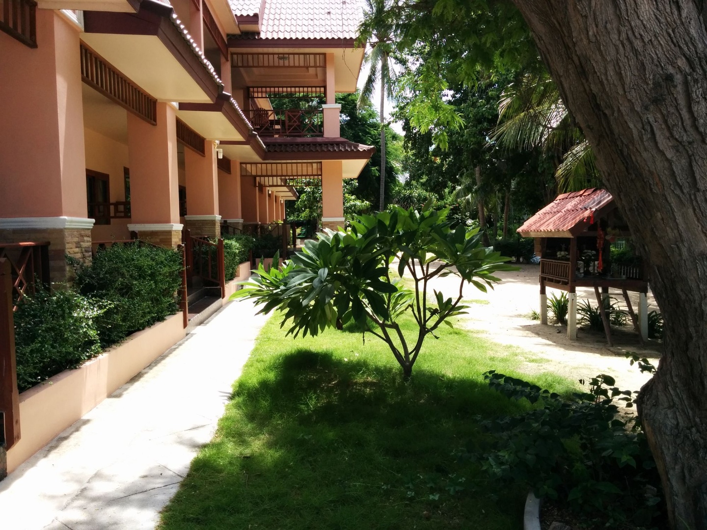Foto - Paradise Bungalows