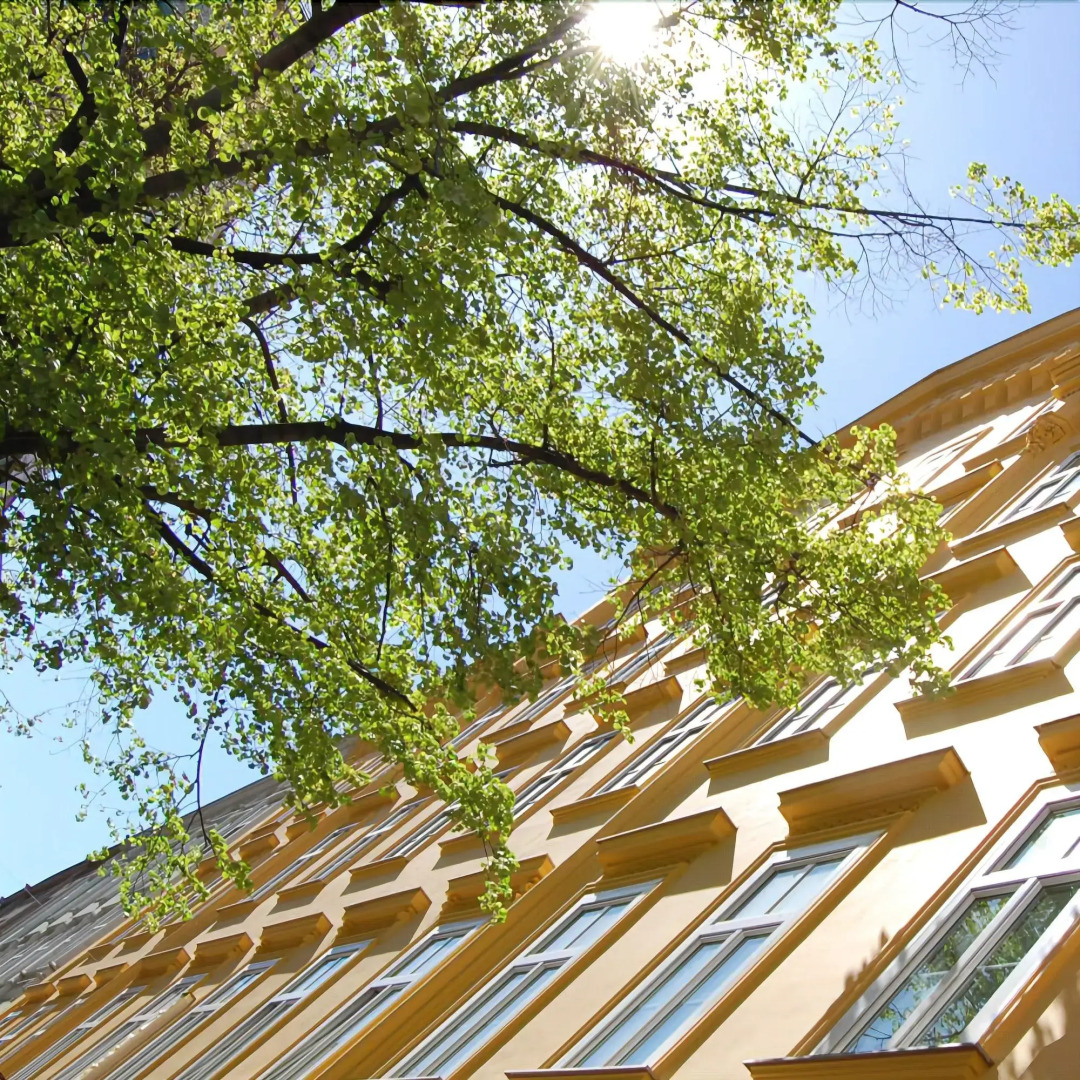 Photo - Saint SHERMIN bed breakfast & champagne