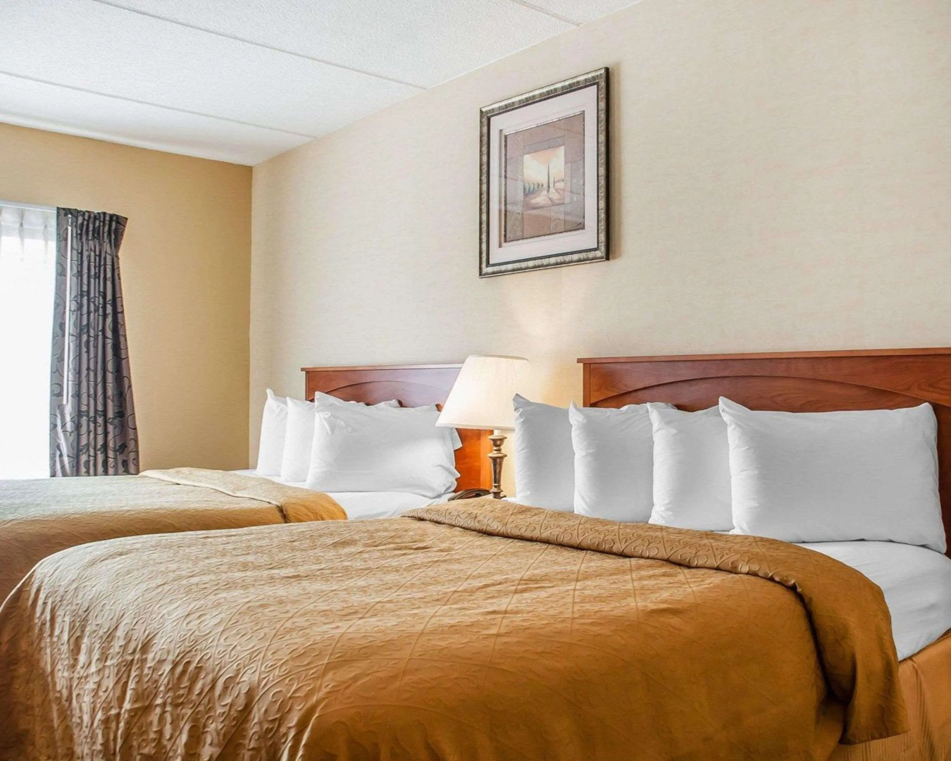 Foto - Quality Hotel & Suites At The Falls
