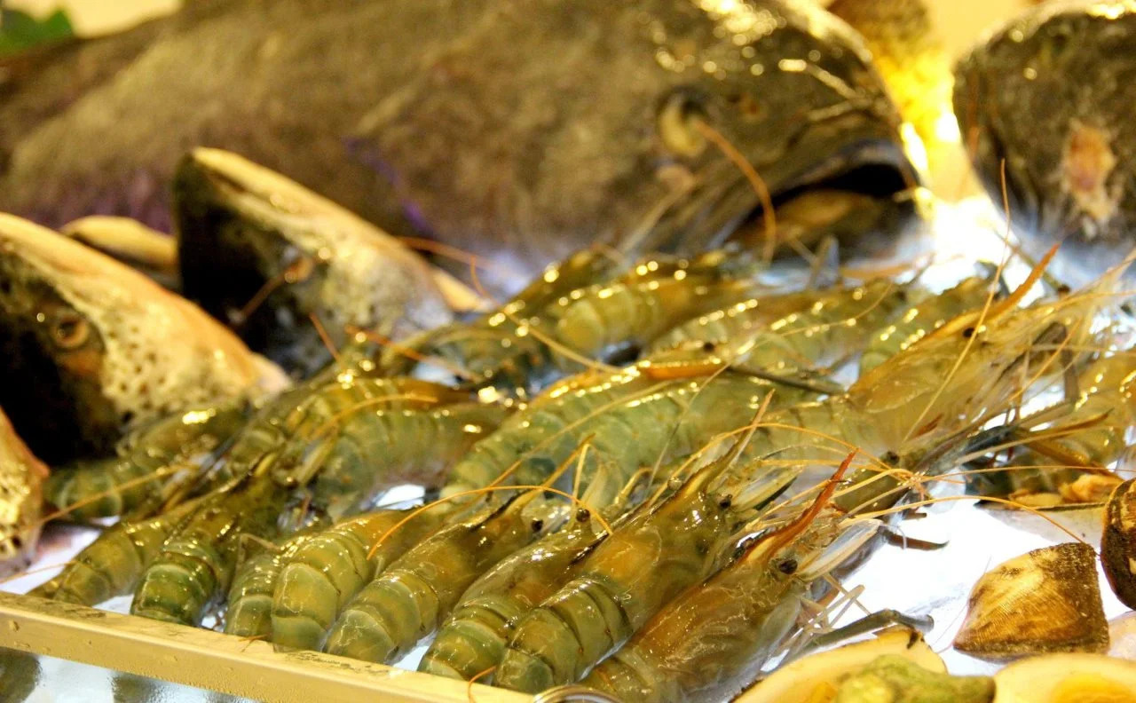 Foto - Tan Son Nhat Saigon Hotel