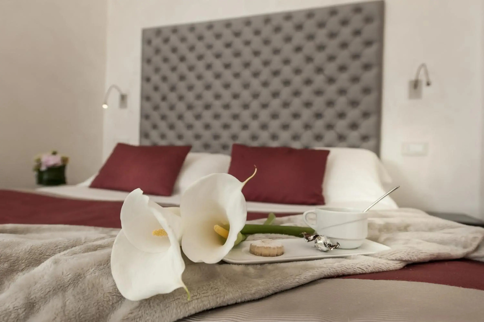 Photo - Hotel Navona