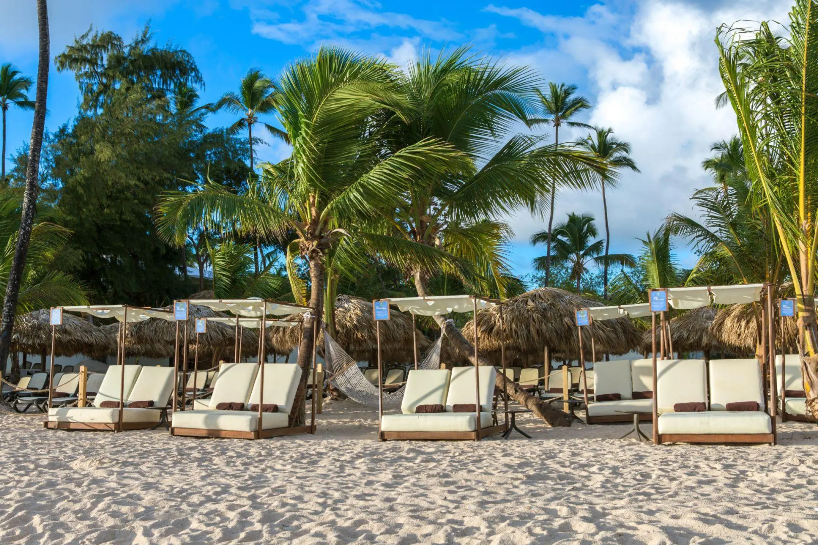 Photo - Impressive Premium Punta Cana - All Inclusive